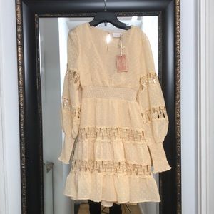 Champagne and Strawberry long sleeve mini dress